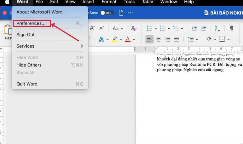 Cách kiểm tra lỗi chính tả trong Word trên Macbook